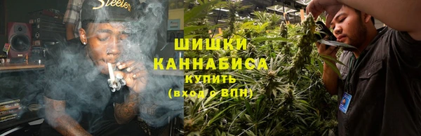 spice Белокуриха