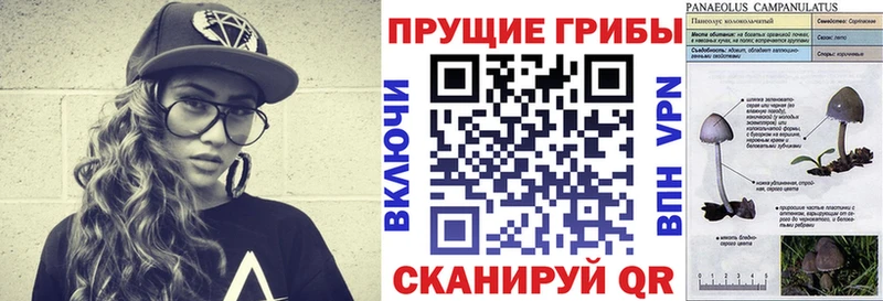 купить наркотик  Электрогорск  Псилоцибиновые грибы мухоморы 